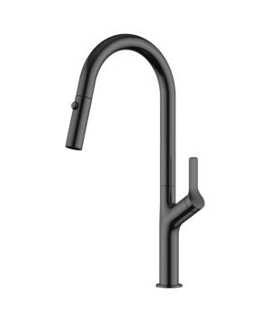 Avida Pull-Out Gooseneck Sink Mixer Matte Black LF