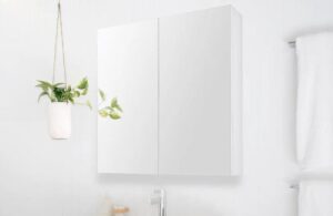 Silk Shaving Cabinet 900x800 2 Door