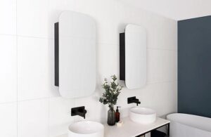 Stadium Mirrored Cabinet 450x900 1 Door