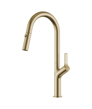 Avida Pull-Out Gooseneck Sink Mixer Brushed Gold LF